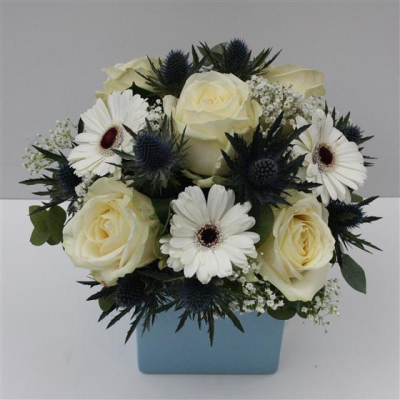 Baby Cube Vase - Arrangement made in Oasis. Cream Roses, White Germini with foliage in Blue Cube