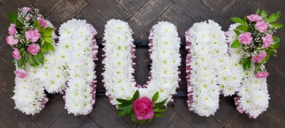 Pink & White Mum Product Image