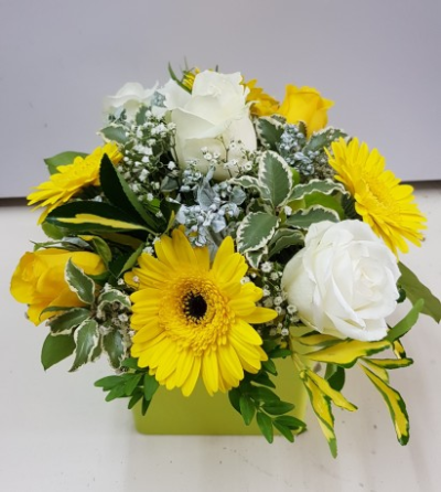 Green Cube - Yellow gerberas, white and yellow roses with mixed foliage in a cube arrangement.